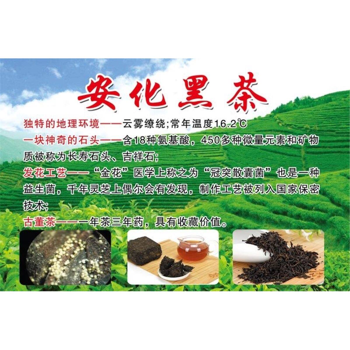 安化黑茶海报展板安化黑茶九大功效华菜健黑茶九大功效墙贴墙纸
