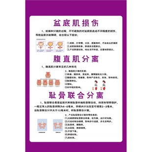 耻骨是什么产后耻骨联合分离骨盆修复海报展板KT板耻骨是什么产后