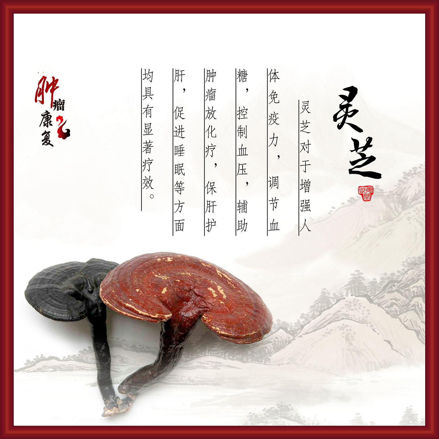 灵芝海报灵芝对于增强人体免疫力调节血糖保肝解毒之功效墙贴纸