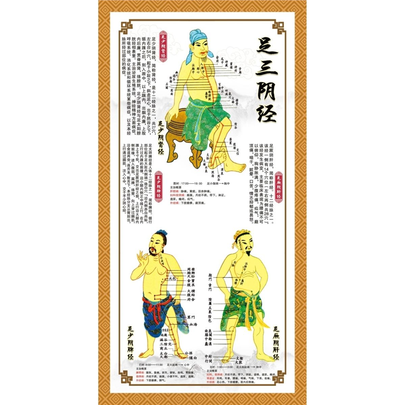 人体十二经络穴位图十四经络图足三阴经人体经络图中医推拿养生图