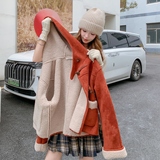 2025年冬季新款羊羔毛连帽外套203-9539-P180-K278，女装短外套，浙宝203