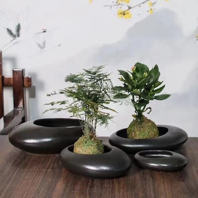 陶瓷椭圆形花盆大中小鹅蛋苔藓专用盆蕨类花盆文竹无有孔室内客厅