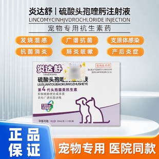 炎达舒硫酸头孢噻肟注射液宠物专用抗菌消炎犬猫广谱抗菌医院同款