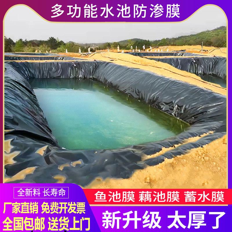 新疆西藏包邮新疆西藏包邮鱼塘防渗膜土工膜蓄水池防漏鱼池护坡防