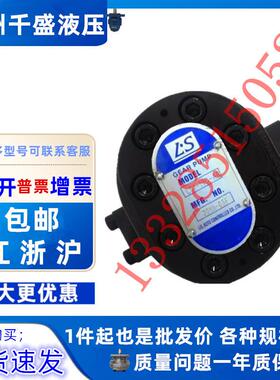 L.S液压油泵LS1-19C-ARGH1-19W-FR工业机械润滑化工泵GH1-15C-LR
