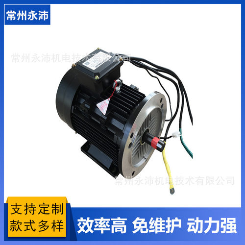 直流60V4KW2800rpm 无刷直流电机马达 计量泵液压泵站电机