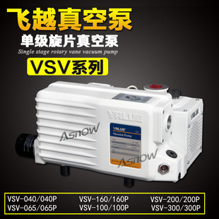 飞越真空泵VALUE 160P互换普旭RA0160D用于风能石油电力工程 VSV