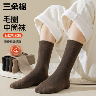 东北防寒保暖蓄热中筒毛圈袜抗起球 加绒加厚冬季 男士 袜子秋冬男款