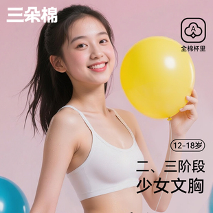 青少年内衣薄款 无钢圈初高中学生发育期少女防走光定型文胸 背心式