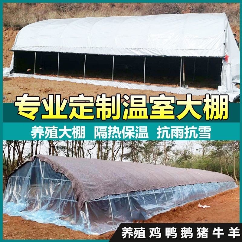 舍养殖大棚抗压温殖大棚t种植大棚钢管骨架温室大棚全套保养钢