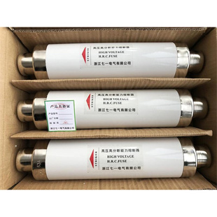 12KV50A63A80A100A125A高分断限流熔断管保险丝 高压熔断器XRNT10