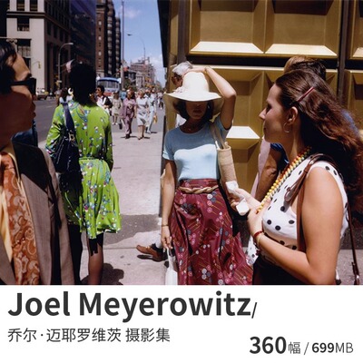 Joel Meyerowitz 乔尔迈耶罗维茨 彩色街头摄影大师图片素材资料