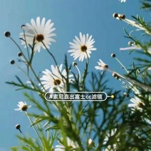 一款索尼pp值机内参数设置仿富士cc胶片模拟预设jpg图片直出