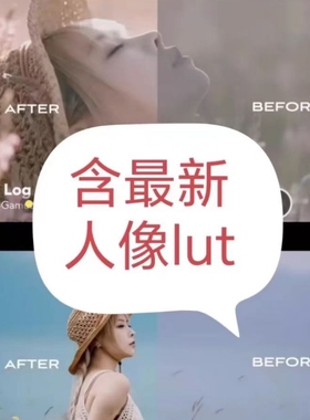 松下富士佳能lut人像电影感索尼灰片胶片预设log709剪映pr调色