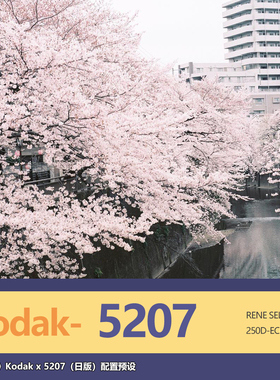 LR/PS模拟5207电影卷胶片预设配置文件 日系人像扫街色调滤镜手机