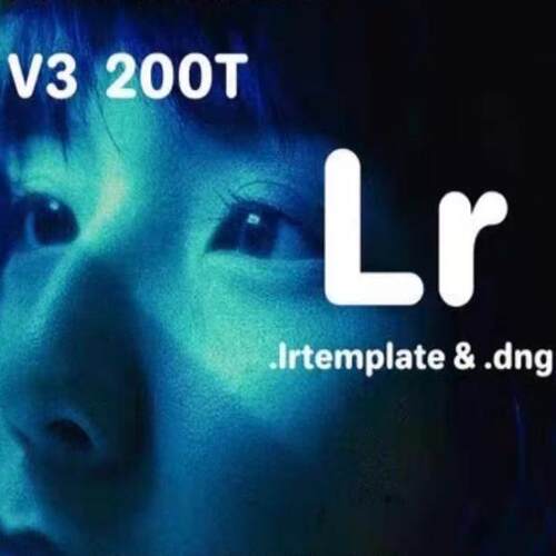 13款Analogicalab经典复古富士柯达2383/200T胶片模拟LR预设合集
