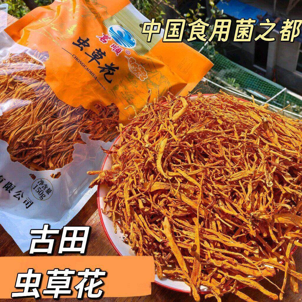 古田虫草花福建食用菌北虫草蛹虫草金虫草优选煲汤食材150g虫草花