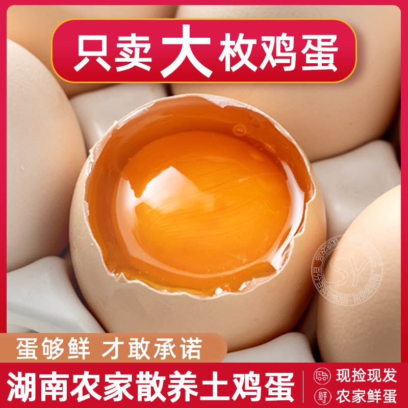 湖南桃源散养土鸡蛋新鲜