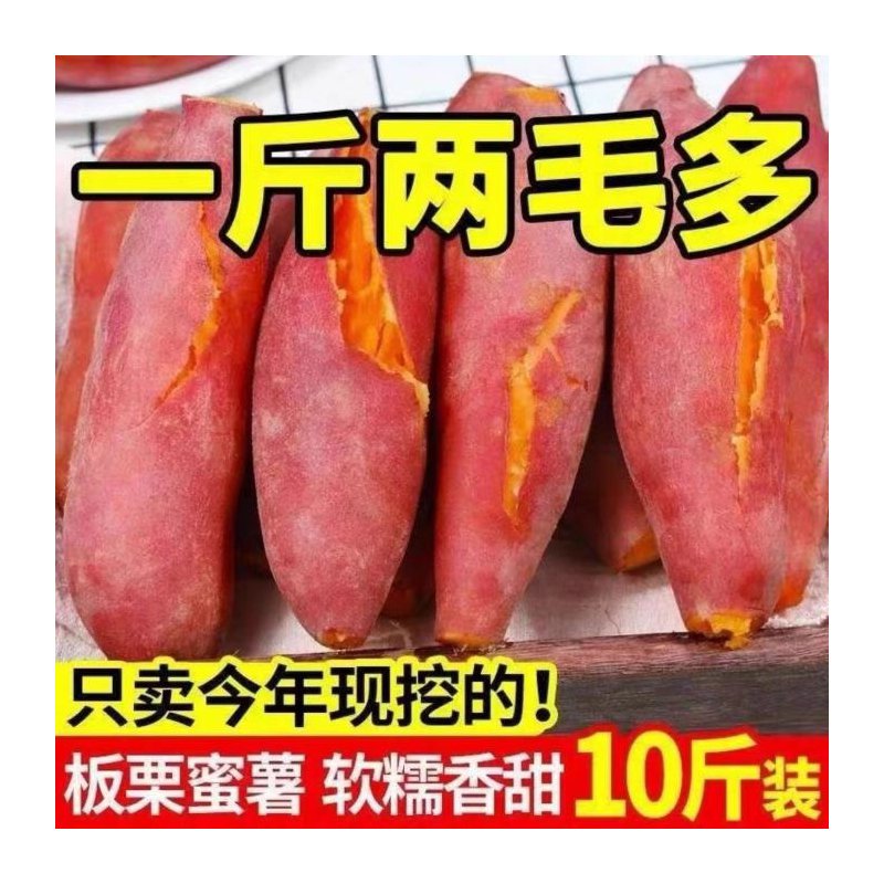 河南红心板栗薯新鲜黄番沙地农