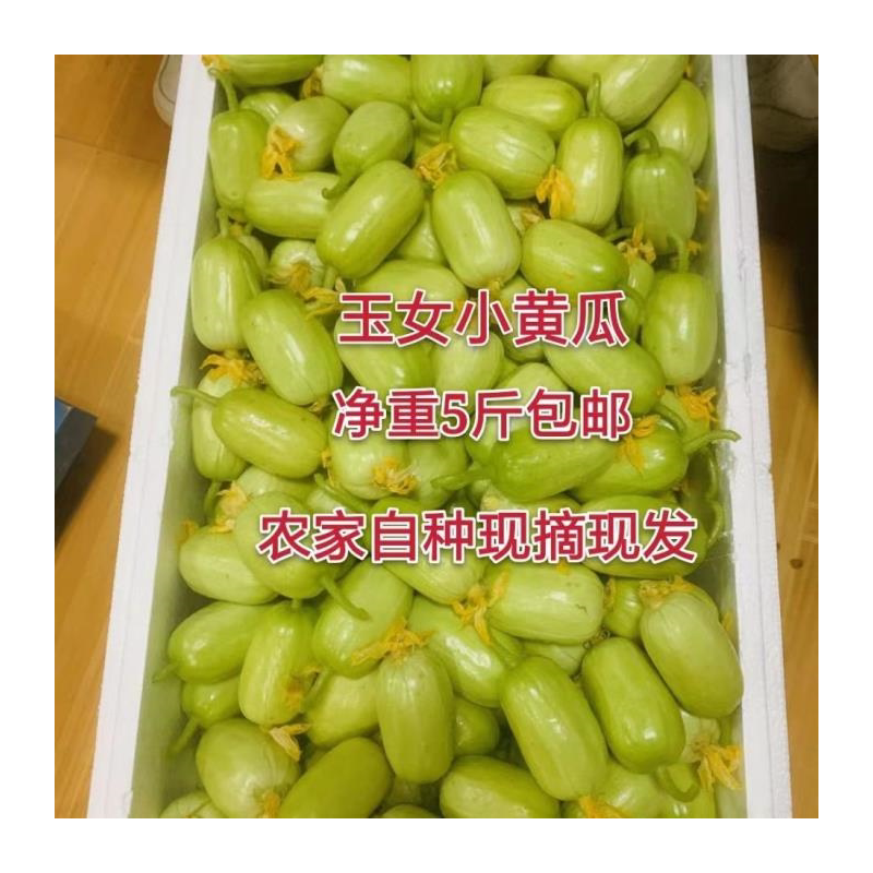 定远炉桥新鲜鸡头果二青一级鸡头
