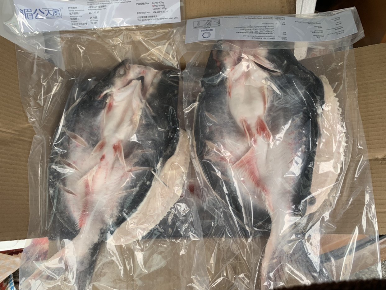 鲜活冷冻腌制开背半天妖同款烤鱼巴沙湄公凌波鱼900克-1100克