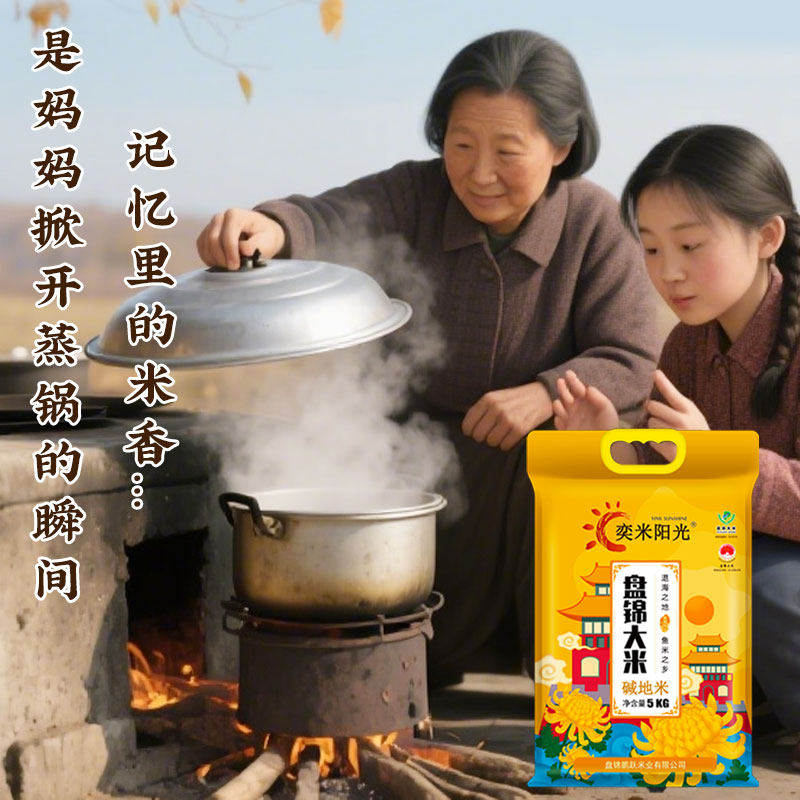 当季新米盘锦大米10斤真空包装东北珍珠米5kg长粒香米1斤美食特产