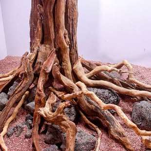 高档鱼缸生命之树造景大型1.2米树桩沉木骨架定制草缸内饰莫斯树