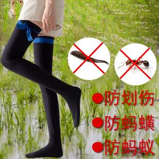 T下田插秧加厚袜子防蚂蟥防水蛭插秧袜种田袜防蚊虫高弹力防护60c