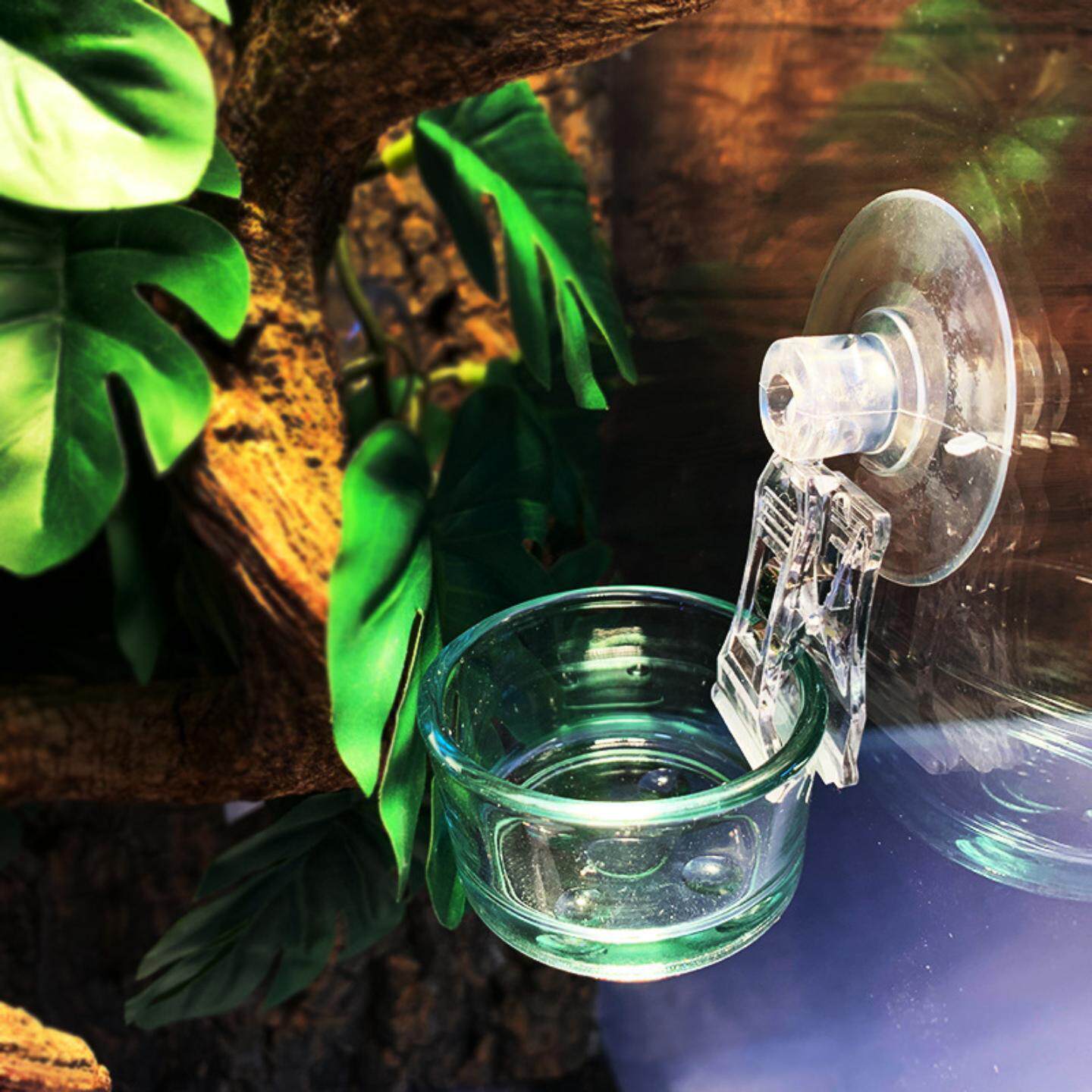 A睫角守宫R属树栖爬宠移动水碗 吸盘强磁可调节高度悬挂食盆水盆