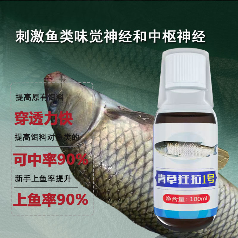 台钓饵青草狂拉1号专攻大草