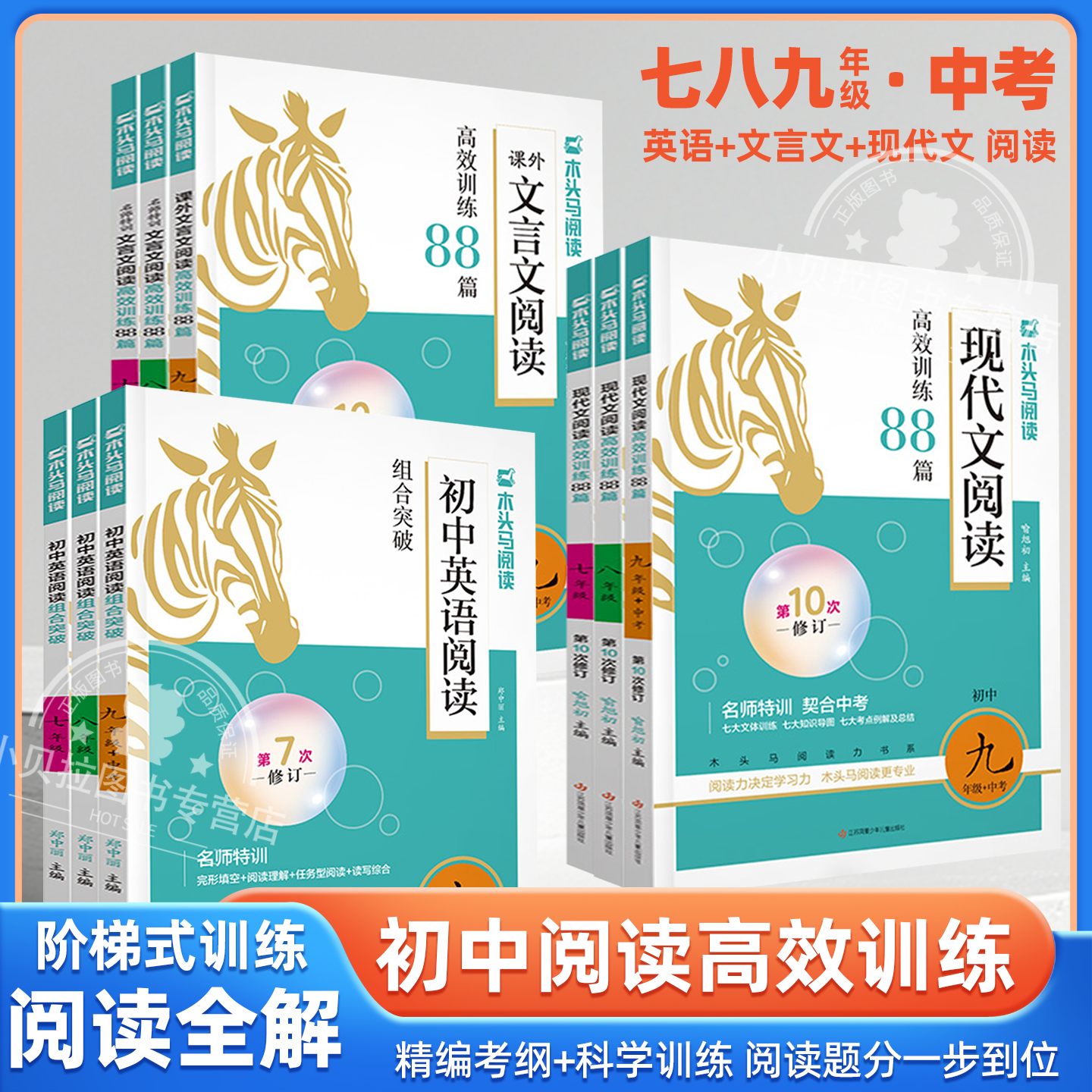 木头马初中现代文阅读高效训练88篇七年级文言文现代文阅读八九年级中考英语阅读理解组合初中专项训练课知识大全分层高中答题技巧