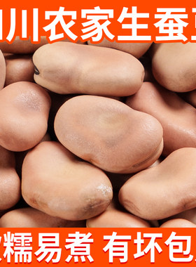 新货蚕豆干货农家胡豆