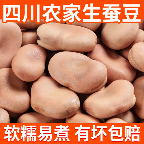 新货蚕豆干货农家胡豆