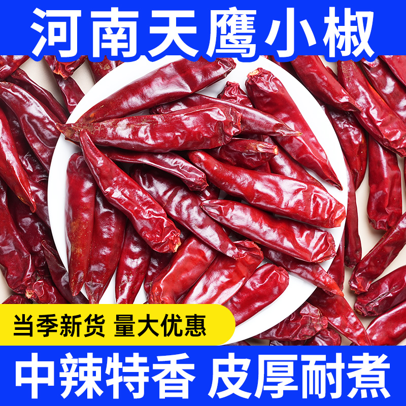 河南天鹰小椒新一代500g小椒