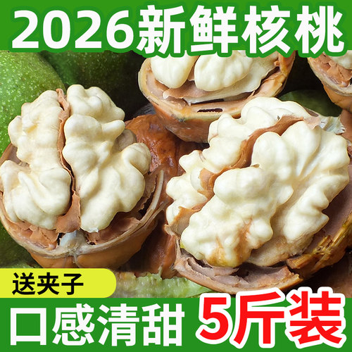 鲜核桃2026新货新鲜去青皮孕妇可吃黑桃原味嫩薄皮生湿核桃仁专用