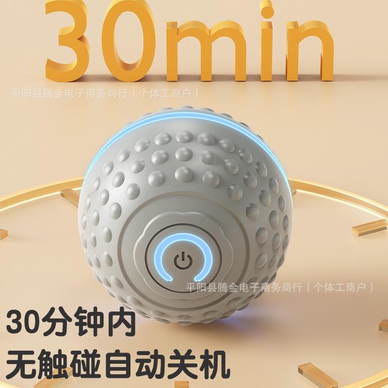 境跨逗狗球 能滚AA-01球智玩具宠物用品宠物玩滚具狗狗迷你自动宠图片
