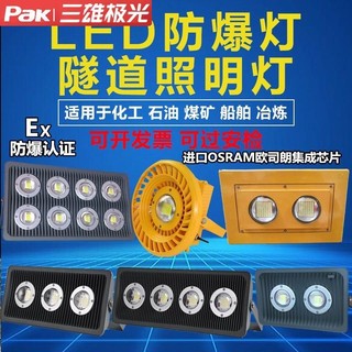 led防爆灯厂房100瓦200W400W投光灯工地施工低压24V36V户