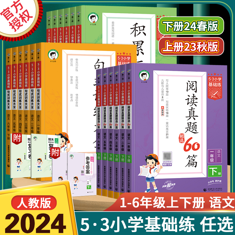 2024新版53句式训练大全一年级二年级三年级四年级五年级六年级上下册五三小学基础练语文教材练习册扩句缩句组词造句子专项训练书