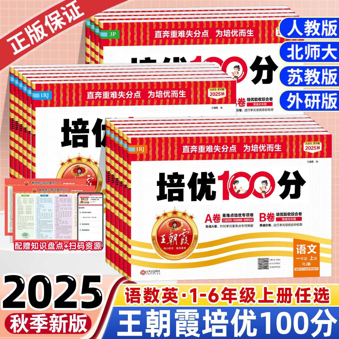 王朝霞试卷培优100分小学上下册