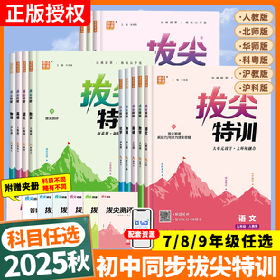 2026春新版初中拔尖特训九年级下册七八年级上册语文数学英语物理化学人教版北师大华师大沪科初一二三年级课本教材同步训练习册