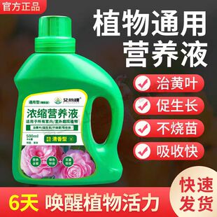 植物营养液通用型绿植僵苗黄叶急救土培水培盆栽花卉花肥液体肥料