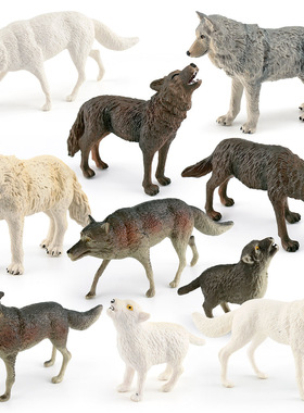 仿真森林动物狼模型西伯利亚狼王北极狼白狼青狼桌面摆件玩具