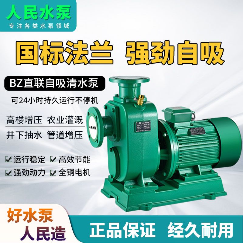 人民国标BZ自吸泵卧式离
