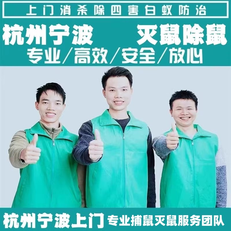 杭州灭鼠公司上门抓老鼠服务捕鼠除鼠捕鼠专业消杀除四害团队宁波