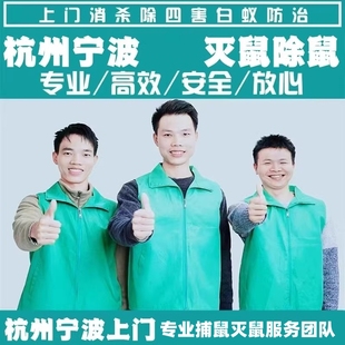 杭州灭鼠公司上门抓老鼠服务捕鼠除鼠捕鼠专业消杀除四害团队宁波