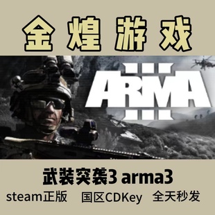 武装突袭3 Arma3 Steam正版Cdkey 国区 激活码 正品CDK现货秒发