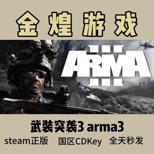 国区 CDK现货秒发 Steam正版 Cdkey Arma3 激活码 武装 正品 突袭3