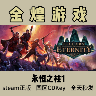 永恒之柱1 终极版Steam正版 Pillars of Eternity 国区 激活码cdk