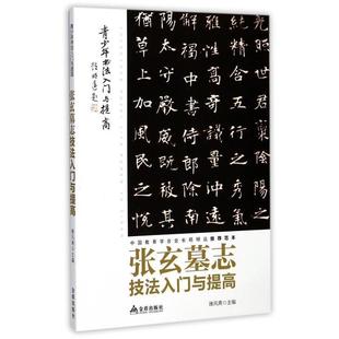 【文】 《张玄墓志》技法入门与提高 9787518612185 金盾出版社
