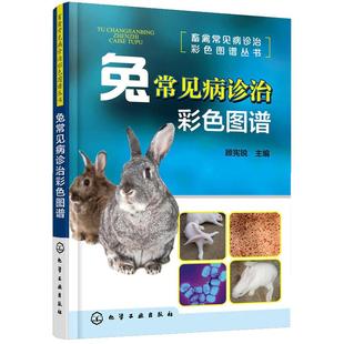 【书】兔常见病诊治彩色图谱 养兔技术大全兔子养殖技术书肉兔科学养殖书籍农业畜牧兽医专业圈养兔病预防与诊治野兔饲养书籍